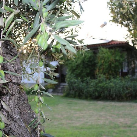 Apartament Patroudis House Skala Rachoni  Zewnętrze zdjęcie
