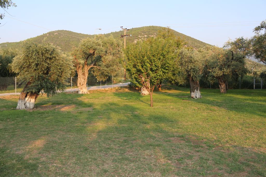 Apartament Patroudis House Skala Rachoni  Zewnętrze zdjęcie