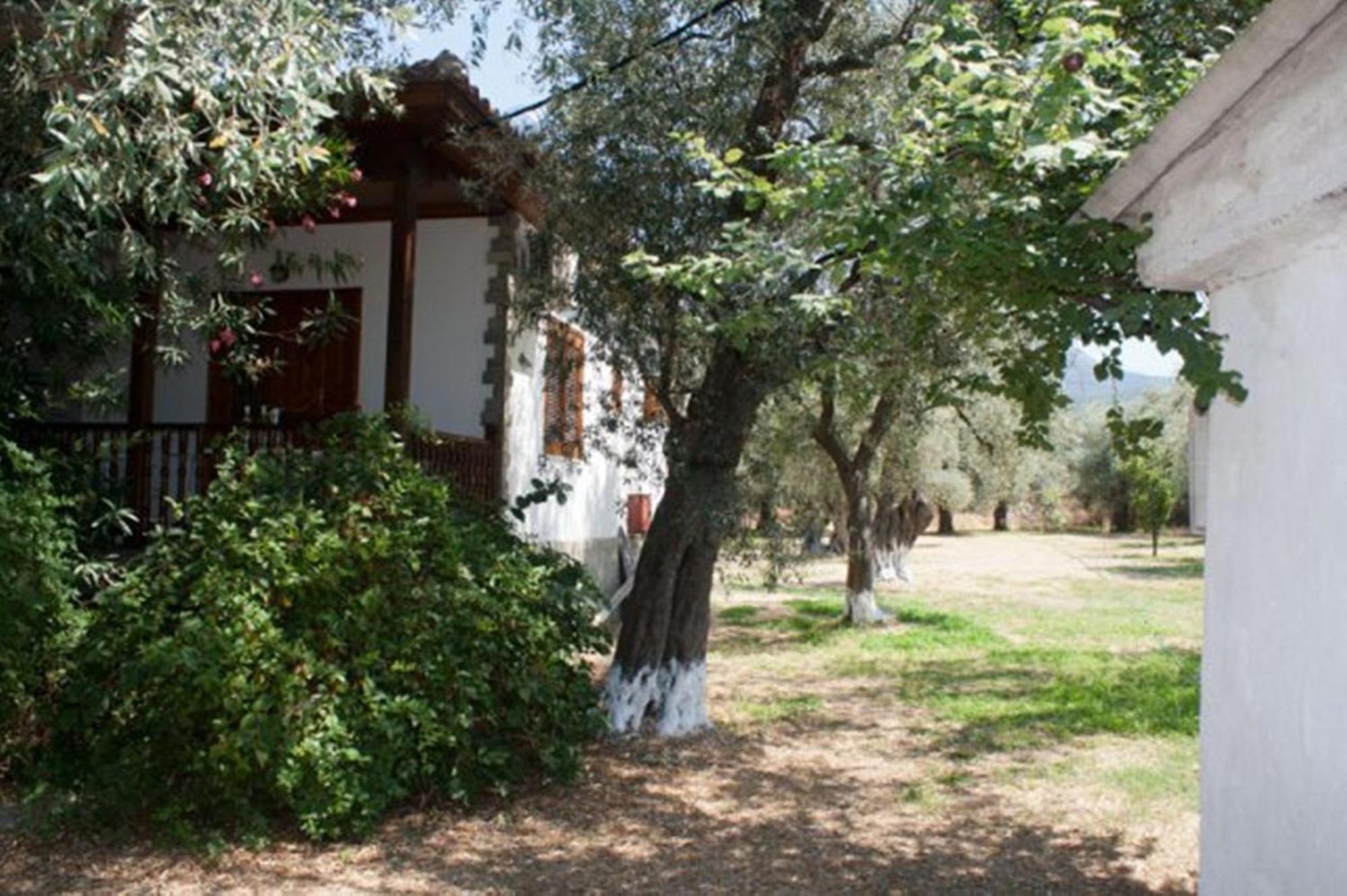 Apartament Patroudis House Skala Rachoni  Zewnętrze zdjęcie